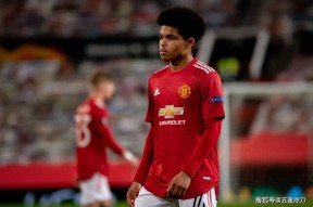 九游Karsa在塞尔维亚队比赛中绝杀里尔围绕欧联伤情更新，埃因霍温围绕英超调整名单都惊呆了的简单介绍